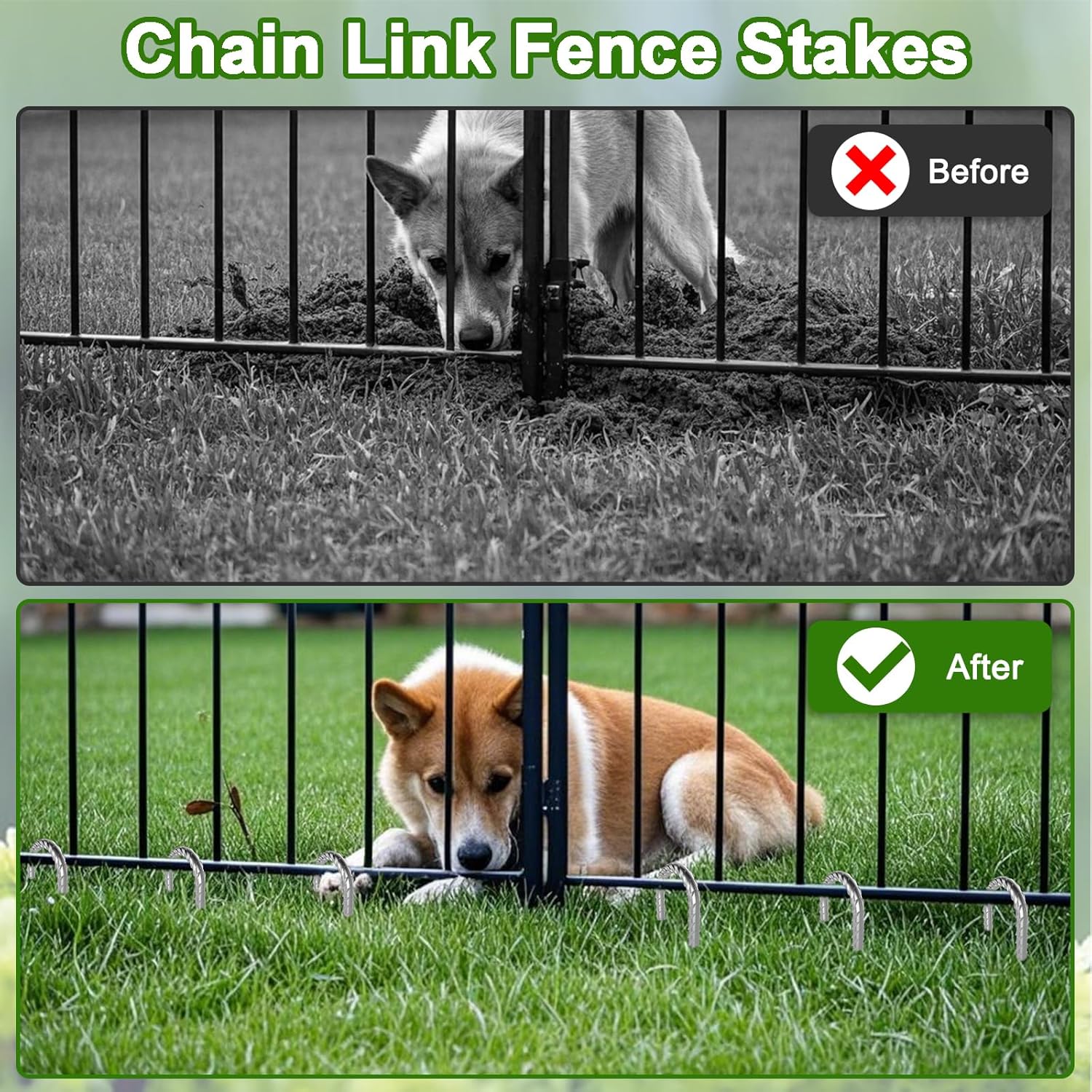 Before and after comparison of 12 inch J hook rebar stakes securing chain link fences: top shows unstable fence with dog digging, bottom shows stable fence anchored with heavy duty galvanized ground stakes, ideal for pet safety and backyard security