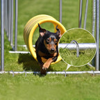 AAGUT 12-Inch J-Hook Rebar Stake, 3/8" Galvanized Heavy-Duty Ground Anchor