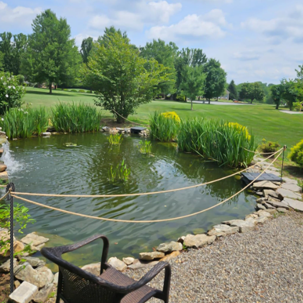 Heavy-duty rebar loop stake securing a rope barrier to prevent accidental falls into the lake, providing safety for ponds and garden water features