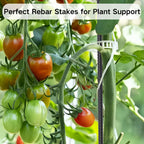 36" Rebar Stakes 8/16-Pack | 1/2" Diameter Heavy Duty Spikes for Concrete Forms