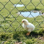 AAGUT 6-Inch Round Top Galvanized Garden Stake for Drip Hoses