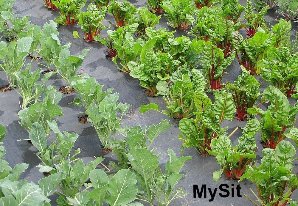 12-inch-landscape-staples-garden-stakes