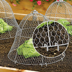 AAGUT 12-Inch 11-Gauge (3mm) All-Purpose Galvanized Landscape Staple