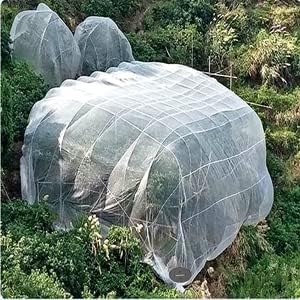Large white garden tree protection netting cover set in a forested hillside, designed to shield fruit trees and plants from birds, insects, and wildlife. Durable, breathable mesh netting for agricultural and landscaping pest control.