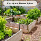 Raised wooden garden beds secured with heavy duty landscape timber spikes, demonstrating their use for stabilizing backyard garden boxes and preventing shifting. Durable ribbed metal spikes provide reliable hold for landscaping and vegetable gardening projects.